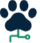 Pata